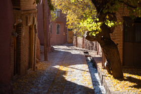 گذر پاییز در ابیانه