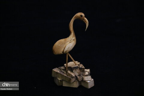 پرنده نگری به روایت چوب