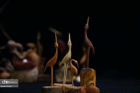 پرنده نگری به روایت چوب