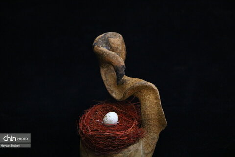 پرنده نگری به روایت چوب