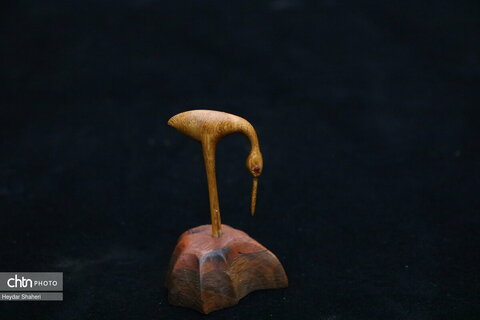 پرنده نگری به روایت چوب