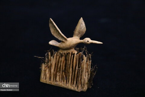 پرنده نگری به روایت چوب