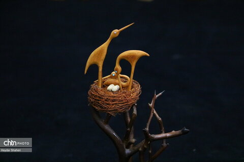 پرنده نگری به روایت چوب