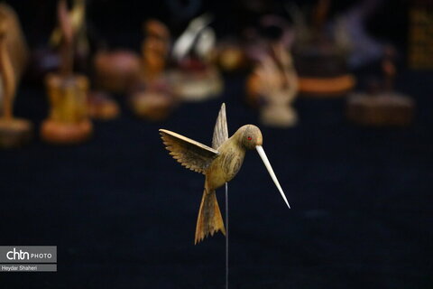 پرنده نگری به روایت چوب