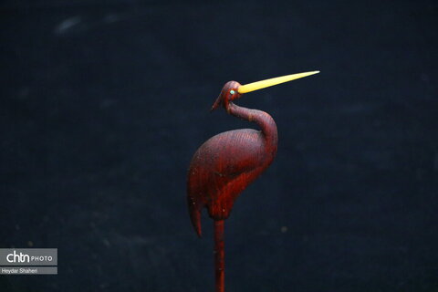 پرنده نگری به روایت چوب