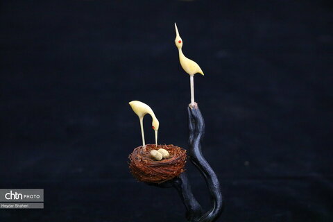 پرنده نگری به روایت چوب