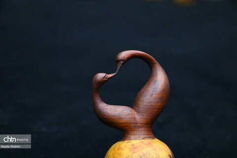 پرنده نگری به روایت چوب