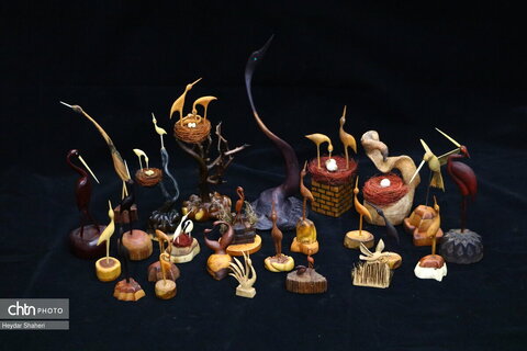 پرنده نگری به روایت چوب