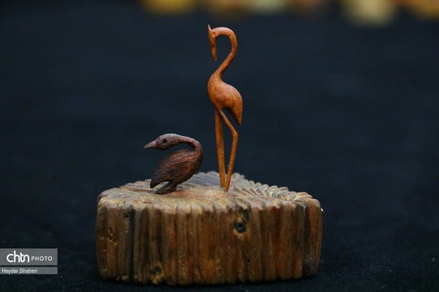 پرنده نگری به روایت چوب