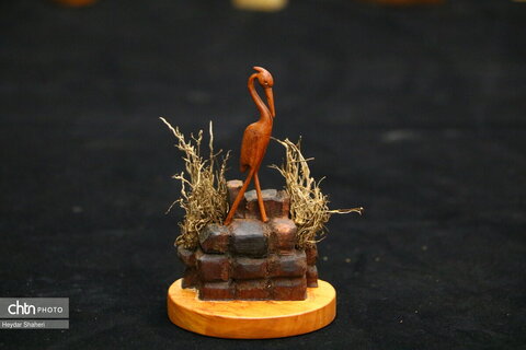 پرنده نگری به روایت چوب