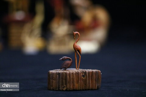 پرنده نگری به روایت چوب