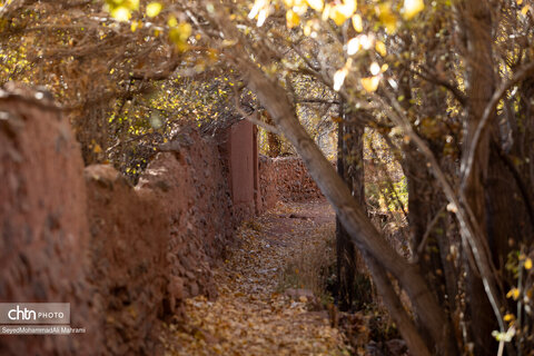 گذر پاییز در ابیانه