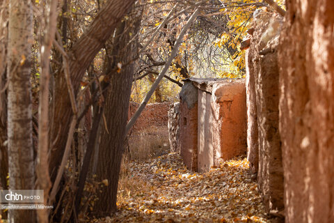 گذر پاییز در ابیانه