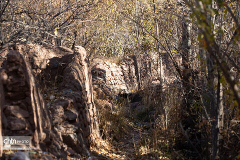 گذر پاییز در ابیانه