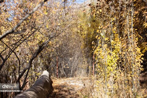 گذر پاییز در ابیانه