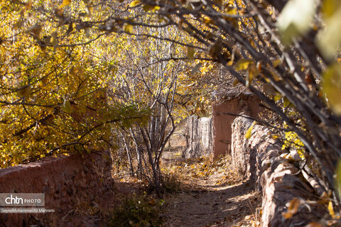 گذر پاییز در ابیانه