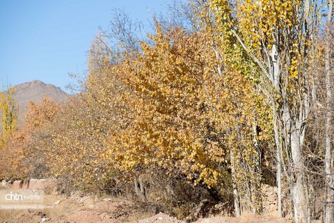 گذر پاییز در ابیانه