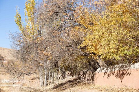 گذر پاییز در ابیانه