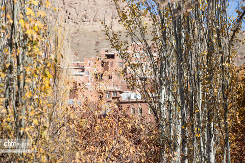 گذر پاییز در ابیانه