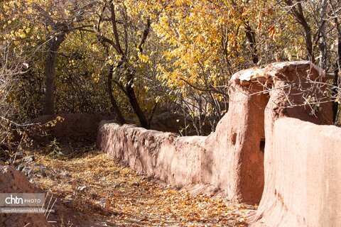 گذر پاییز در ابیانه