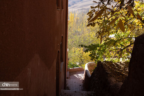 گذر پاییز در ابیانه