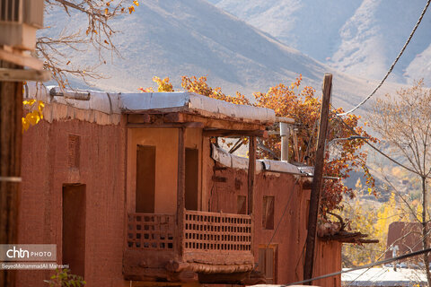 گذر پاییز در ابیانه