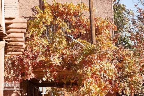 گذر پاییز در ابیانه