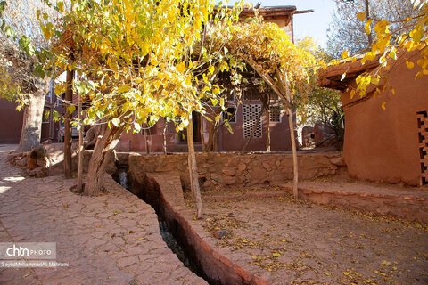 گذر پاییز در ابیانه