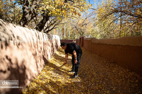 گذر پاییز در ابیانه