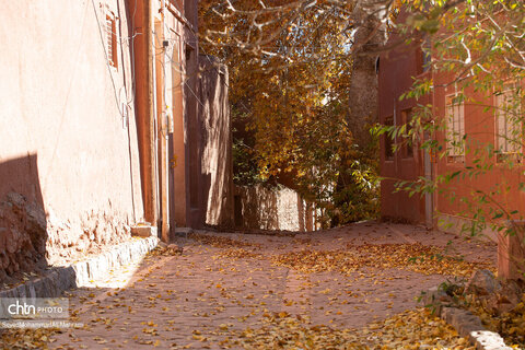 گذر پاییز در ابیانه