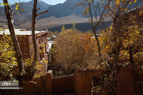 گذر پاییز در ابیانه