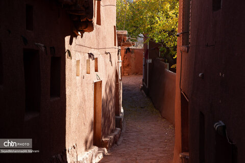 گذر پاییز در ابیانه