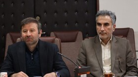 برگزاری جشنواره‌ها باعث پویایی رشته‌های صنایع‌دستی و هنرهای سنتی می‌شود