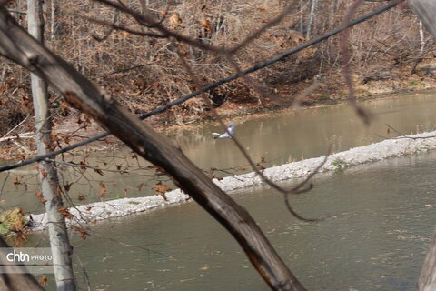 طبیعت پاییزی پل هوره شهرستان سامان