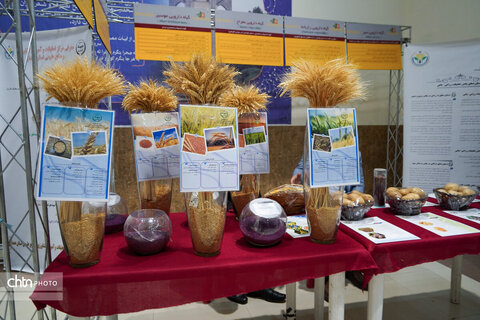 نمایشگاه پژوهش و فناوری استان همدان افتتاح شد