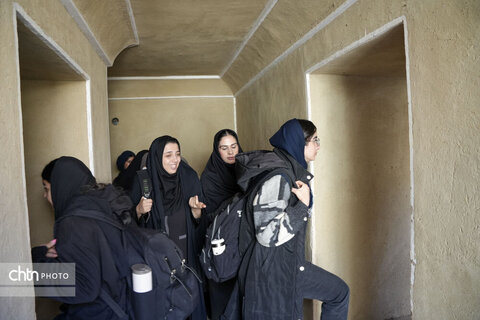 قطار گردشگری