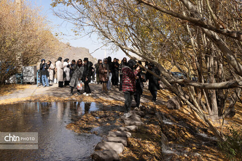 قطار گردشگری