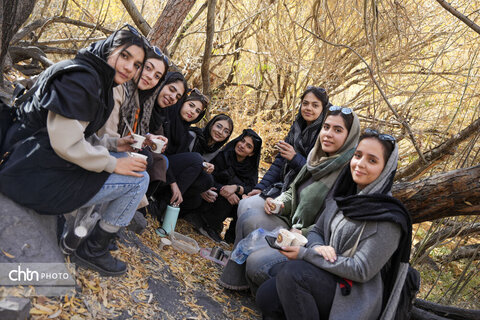 قطار گردشگری