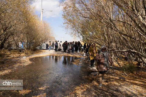 قطار گردشگری