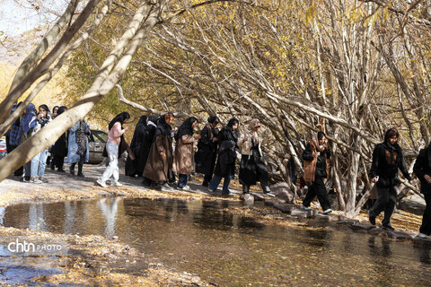 قطار گردشگری