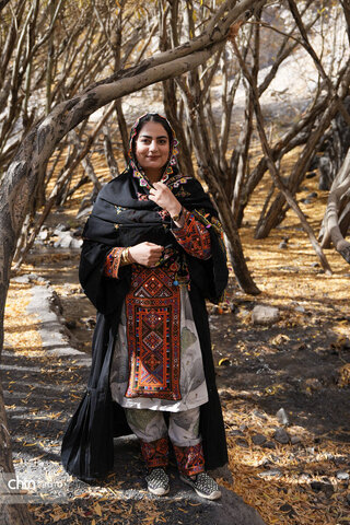 قطار گردشگری