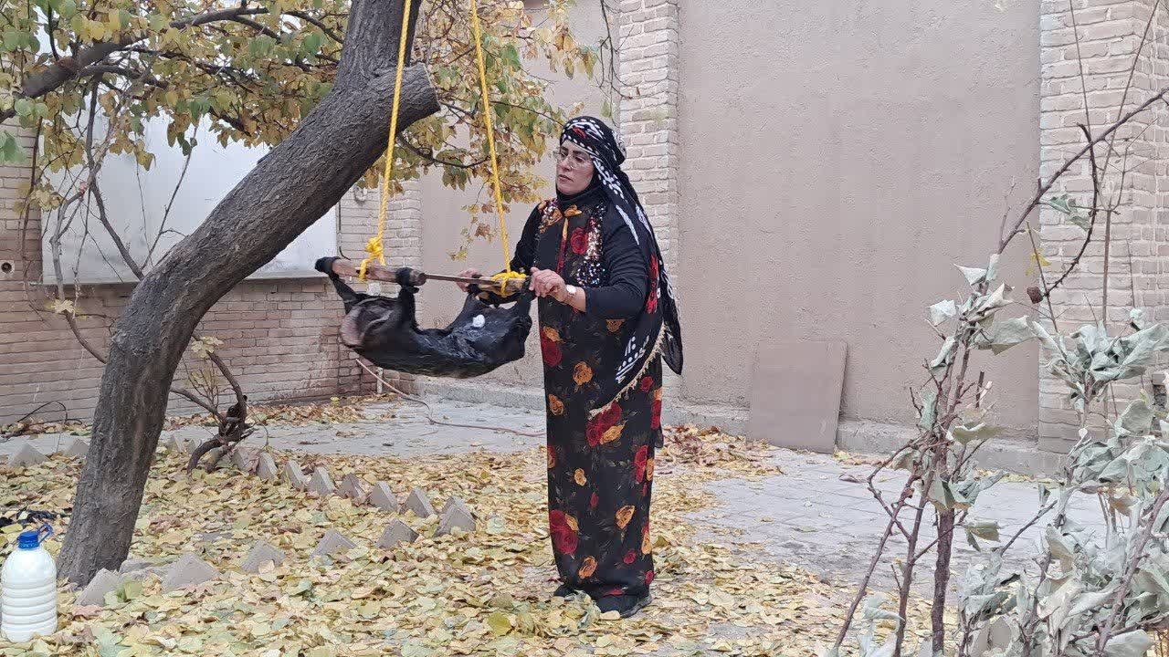 برگزاری نخستین جشنواره برداشت خرمالو از حیاط باغ‌های قدیمی نهاوند