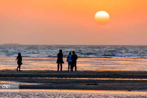 جاذبه‌های شهر بوشهر، ترکیبی از ساحل و تاریخ و کوچه‌های پر از موسیقی جنوبی