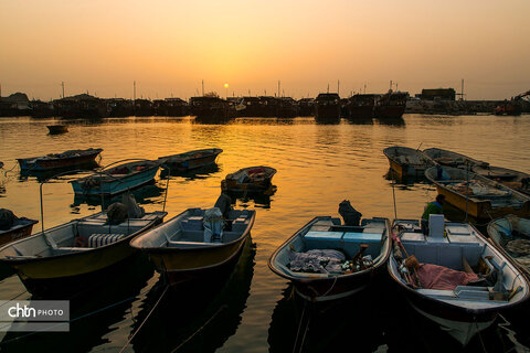 جاذبه‌های شهر بوشهر، ترکیبی از ساحل و تاریخ و کوچه‌های پر از موسیقی جنوبی