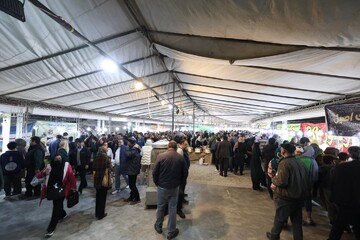 استقبال پرشور علاقمندان از نمایشگاه بین المللی گردشگری اصفهان