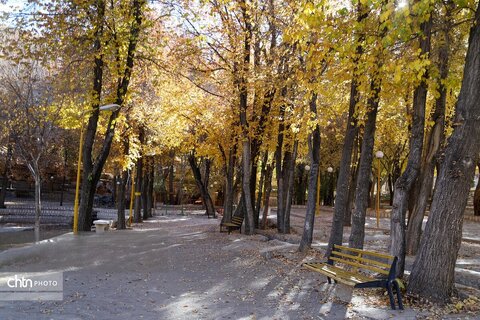 طبیعت پاییزی سیاسرد بروجن