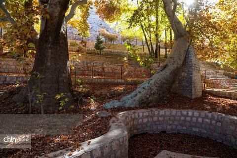 طبیعت پاییزی سیاسرد بروجن