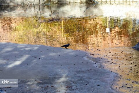 طبیعت پاییزی سیاسرد بروجن