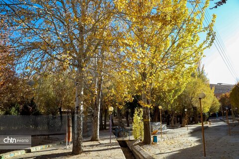 طبیعت پاییزی سیاسرد بروجن