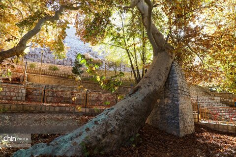 طبیعت پاییزی سیاسرد بروجن